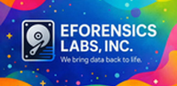 eForensics Store Hub