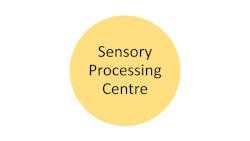 sensory processing centre