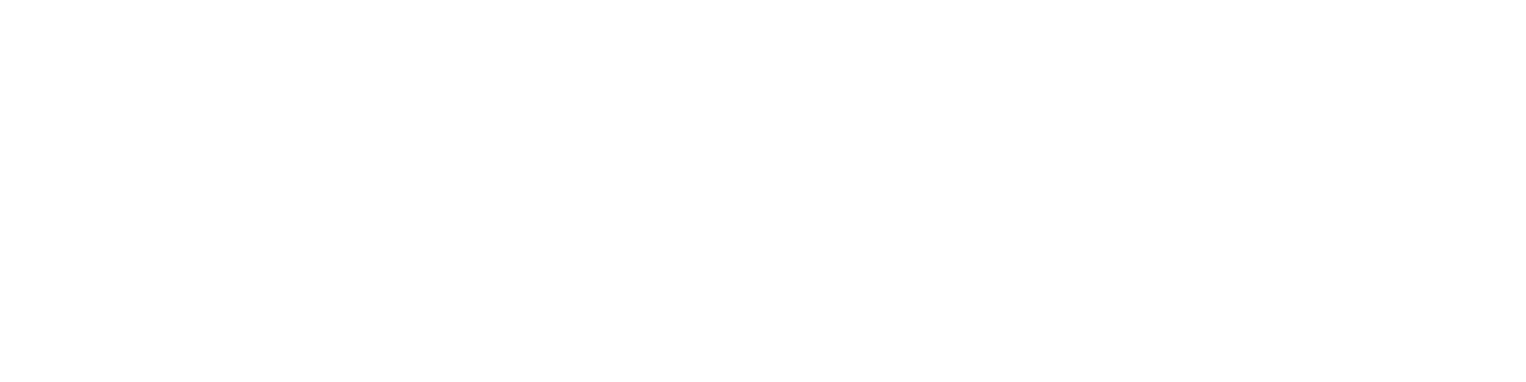 LEAN SURVIVAL STORE