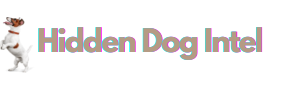 Hidden Dog Intelligence Shop