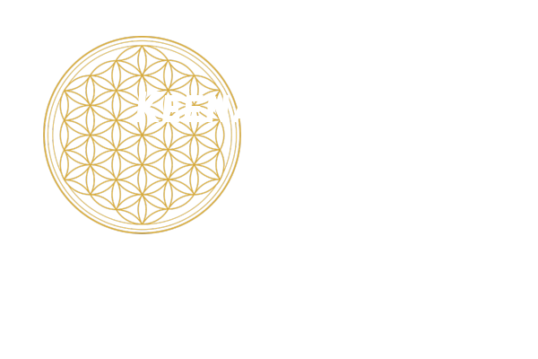 Pioneer Me Community Developers