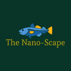 The Nano-Scape