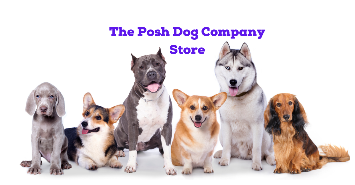 The Posh Dog Company Store