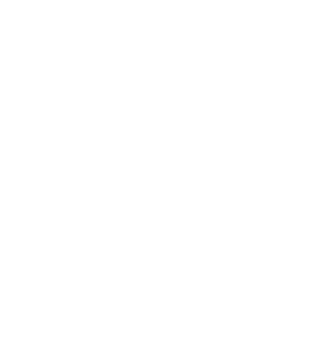 BlitzShoppy-ing
