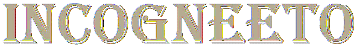 Incogneeto Vintage Fashion