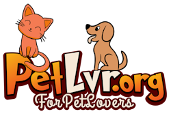 PetLvr.org - For PET Lovers