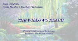 The Willow's Reach
