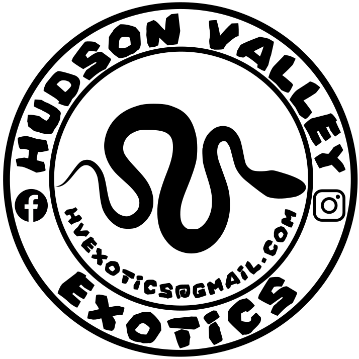 hvexotics.com