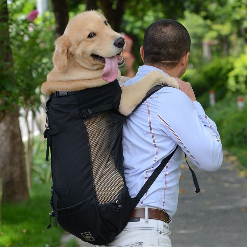 dog baby carrier