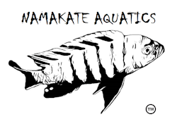 Namakate Aquatics