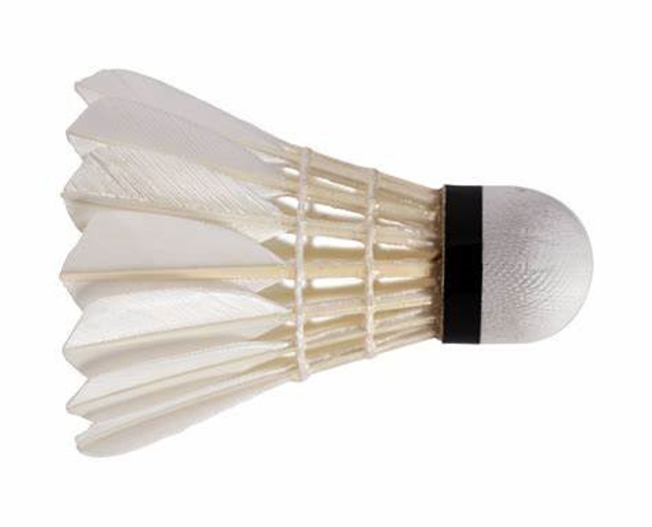 White Feather Shuttlecock Set Of 10 For Badminton 