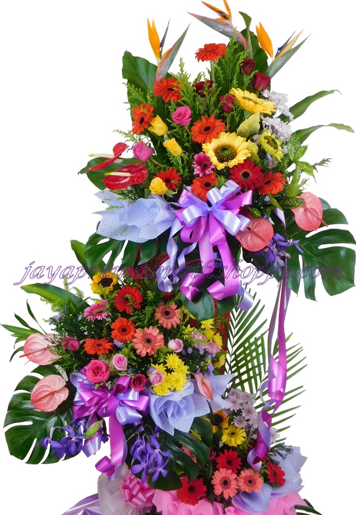 Cw601 Congratulations Best Wishes Flower Flowers Baby Infant Gifts Hampers Corporate Gifts
